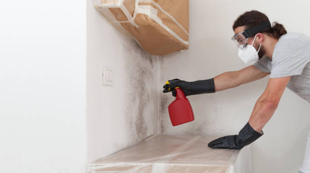 Professional Attic Mold Removal technician working in Mathews, VA