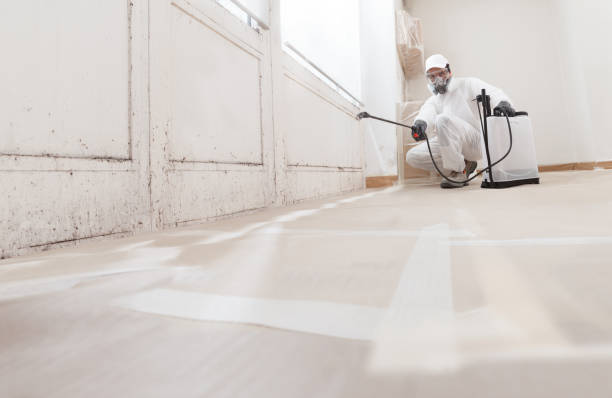 24/7 Emergency Attic Mold Removal experts in Mathews, VA